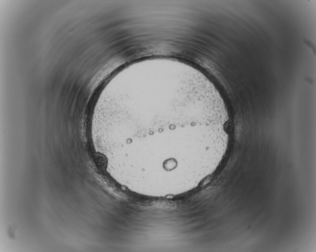 X0000102771026200809151034