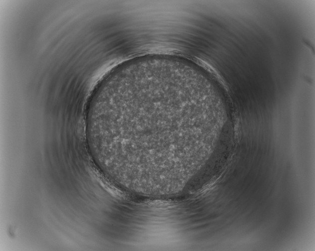 X0000102771027200809151034