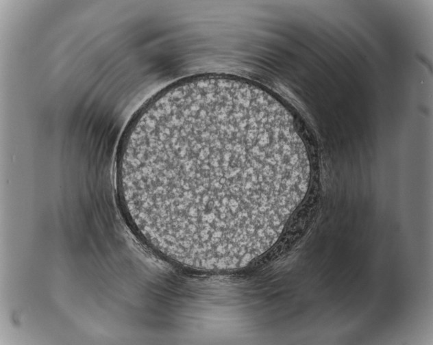 X0000102771028200809151034