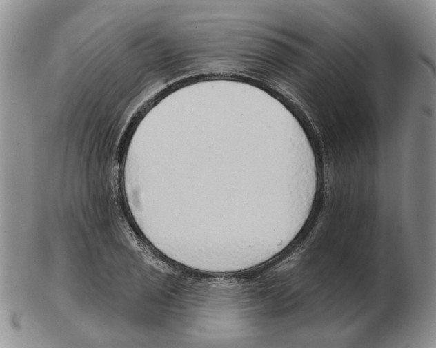 X0000102771029200809151034