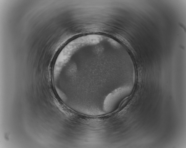 X0000102771031200809151034