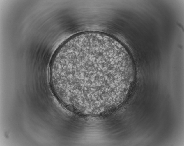 X0000102771032200809151034