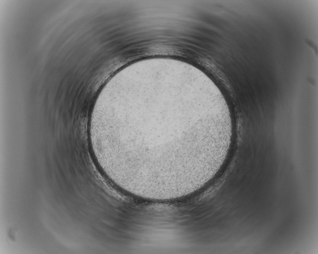 X0000102771033200809151034