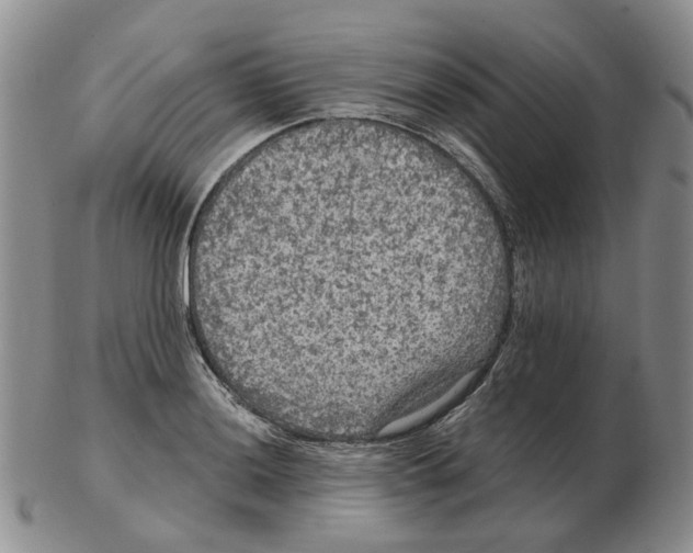 X0000102771036200809151034