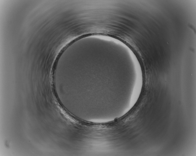 X0000102771037200809151034