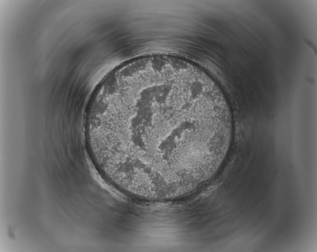 X0000102771038200809151034