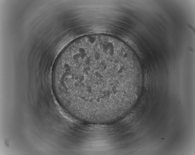 X0000102771039200809151034