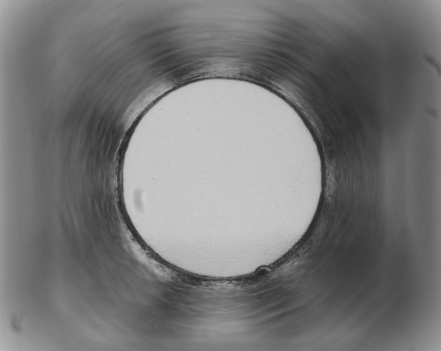 X0000102771042200809151034