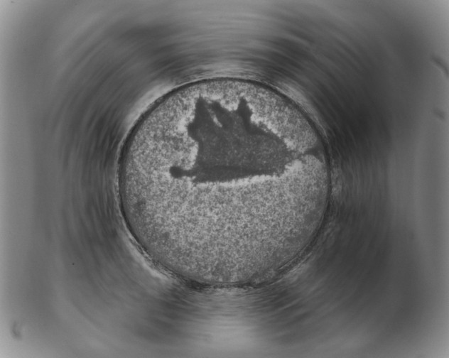 X0000102771043200809151034