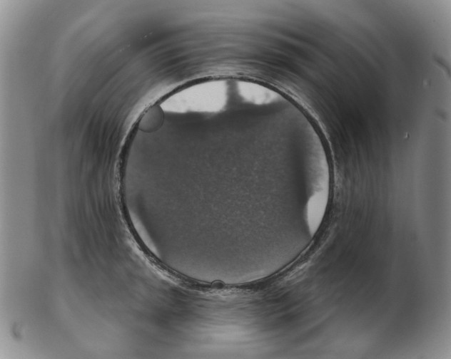 X0000102771045200809151034