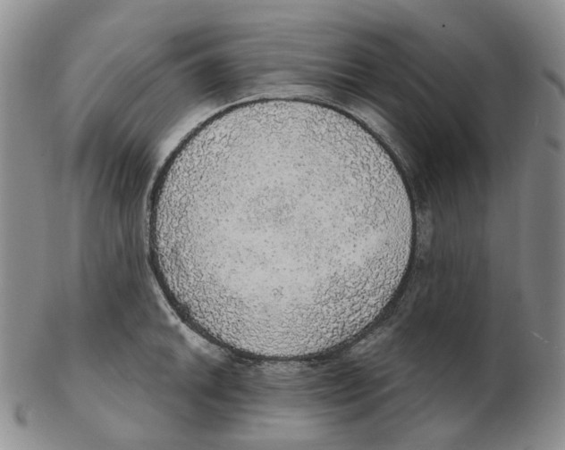 X0000102771046200809151034