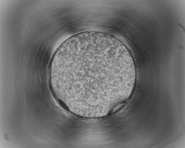 X0000102771048200809151035