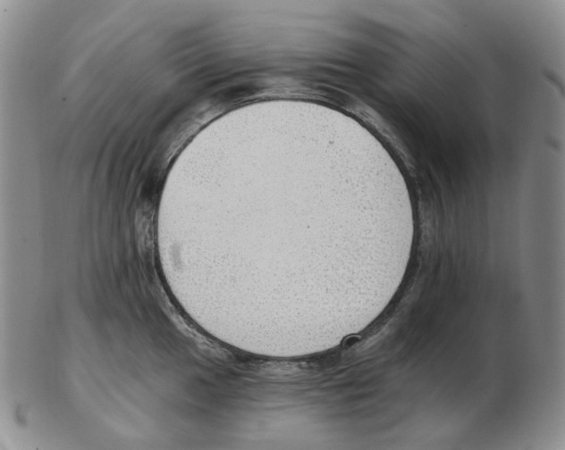 X0000102771049200809151035