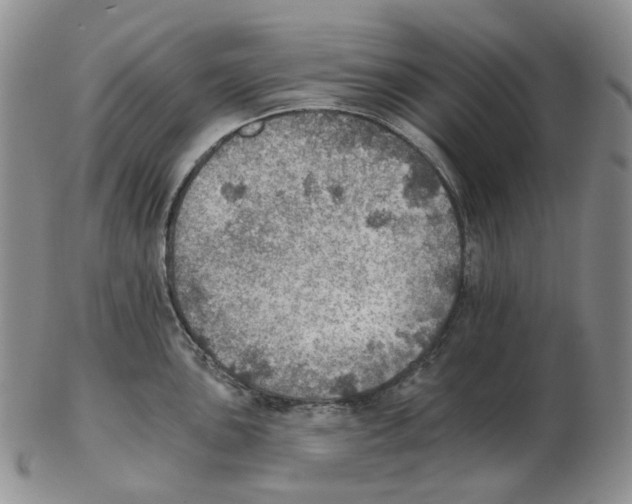 X0000102771051200809151035