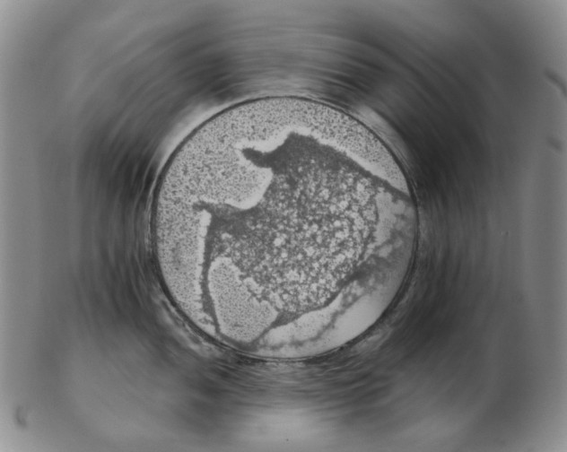 X0000102771052200809151035