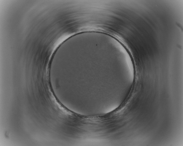 X0000102771053200809151035