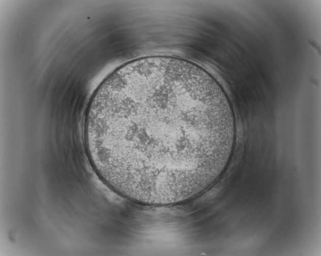 X0000102771054200809151035