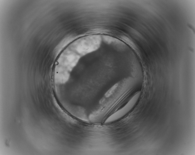 X0000102771055200809151035