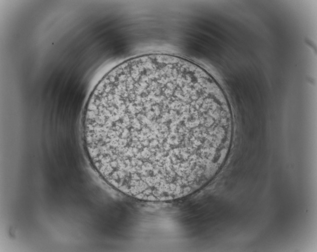 X0000102771056200809151035