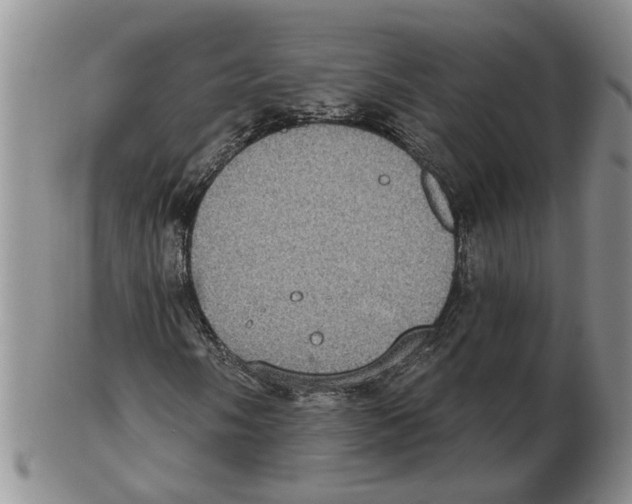 X0000102771058200809151034