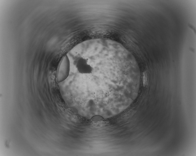 X0000102771059200809151034