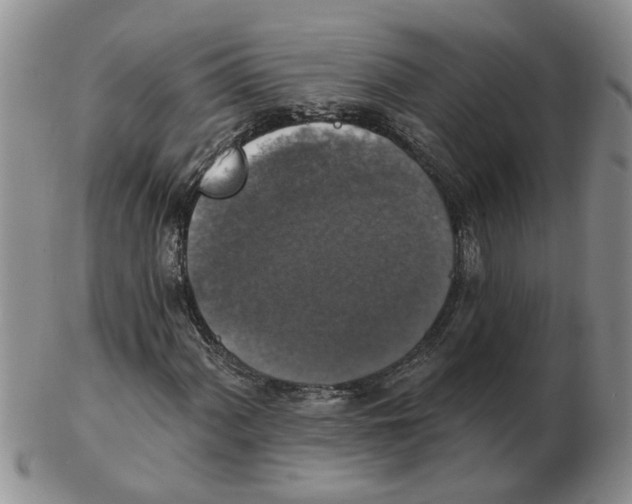 X0000102771060200809151034