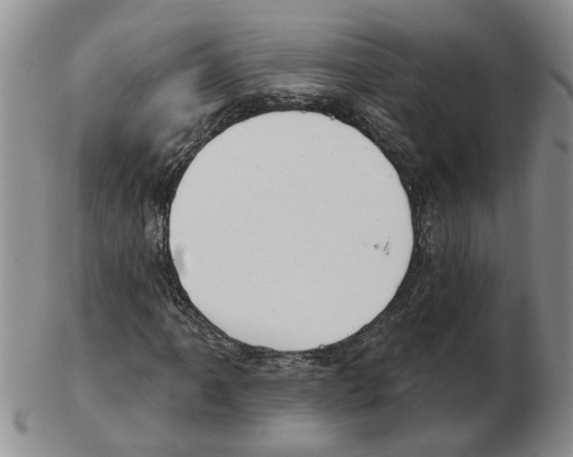 X0000102771061200809151034