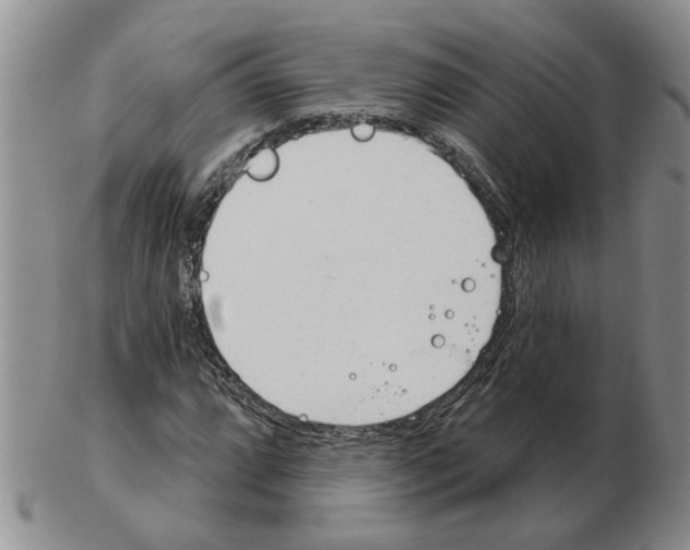 X0000102771064200809151034