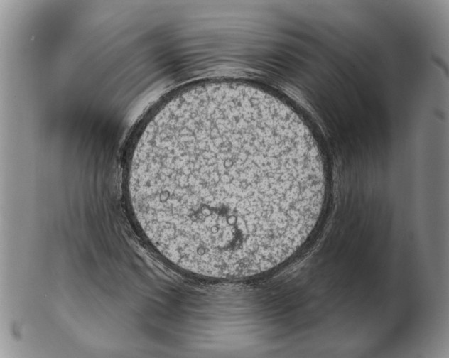 X0000102771067200809151034