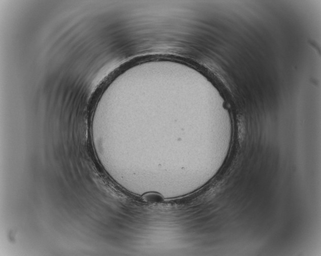 X0000102771069200809151034