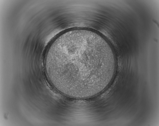 X0000102771070200809151034