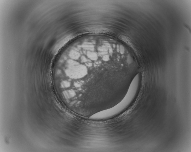 X0000102771071200809151034