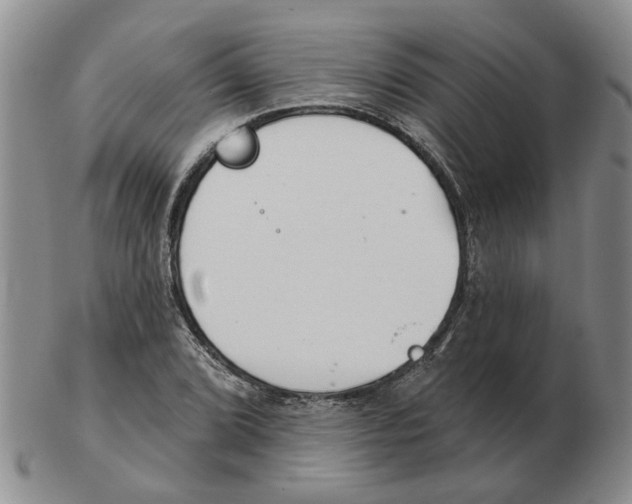 X0000102771072200809151034