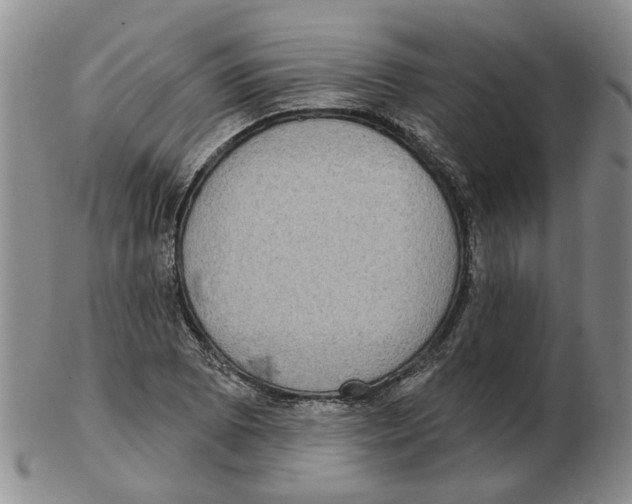 X0000102771073200809151034