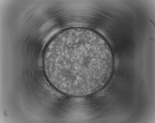 X0000102771074200809151034