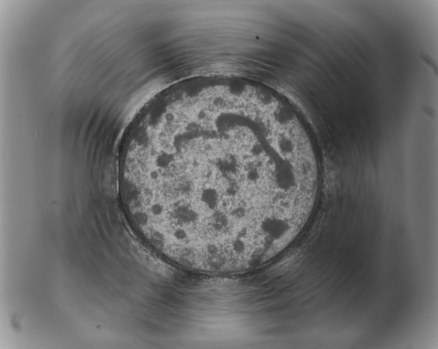 X0000102771075200809151034