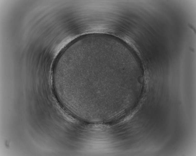 X0000102771077200809151034