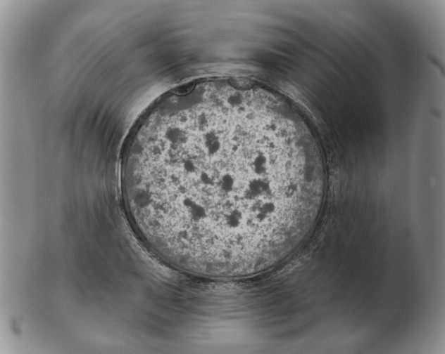 X0000102771079200809151033