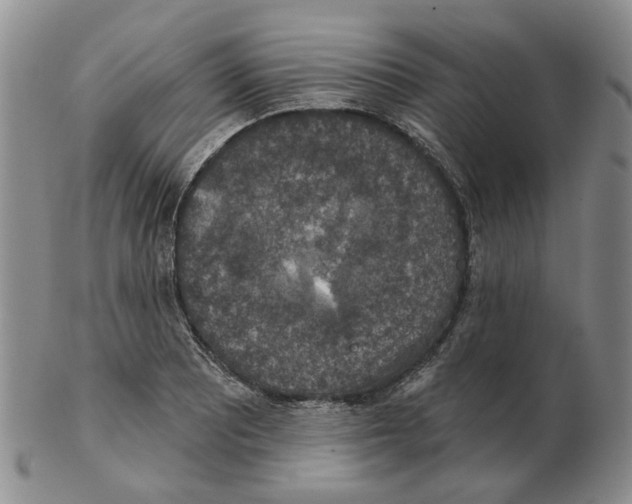 X0000102771081200809151033