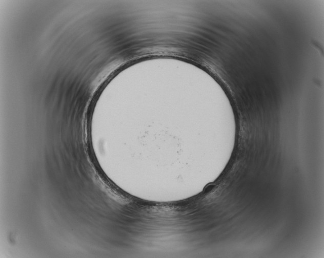 X0000102771082200809151033