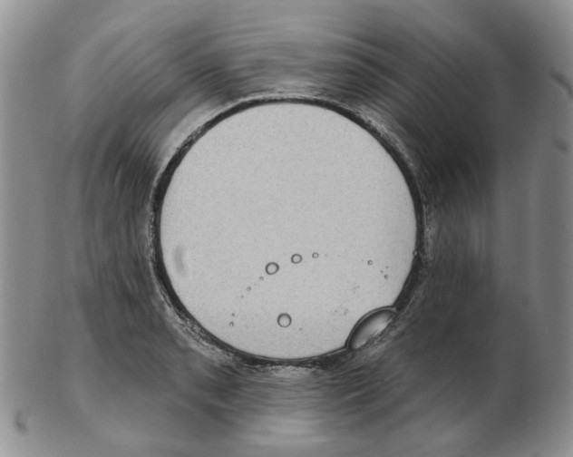 X0000102771085200809151033