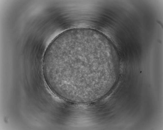 X0000102771086200809151033