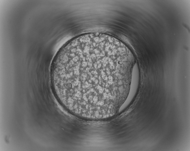 X0000102771087200809151033