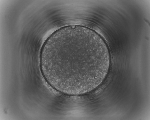 X0000102771088200809151033