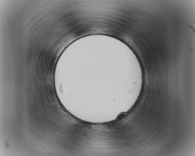 X0000102771089200809151033