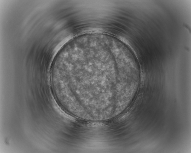 X0000102771090200809151033