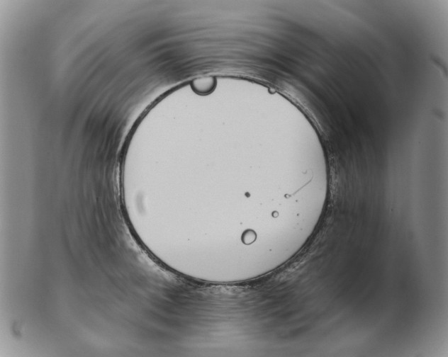 X0000102771092200809151033