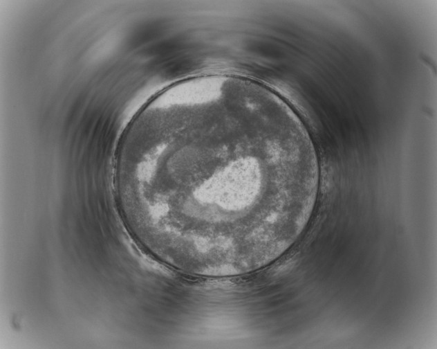 X0000102771094200809151033