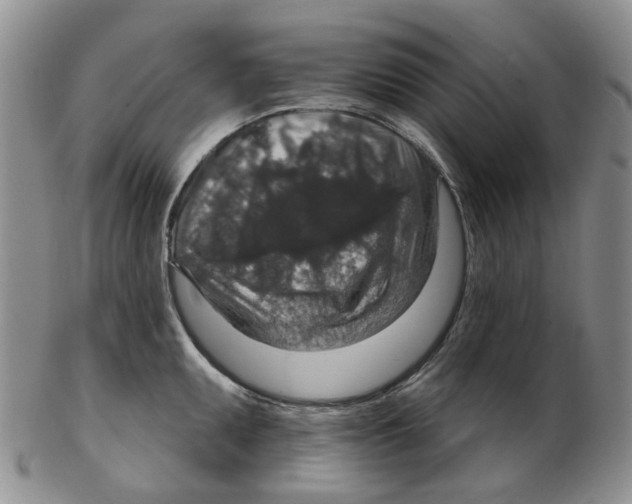 X0000102771095200809151033