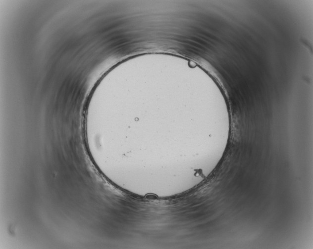 X0000102771096200809151033